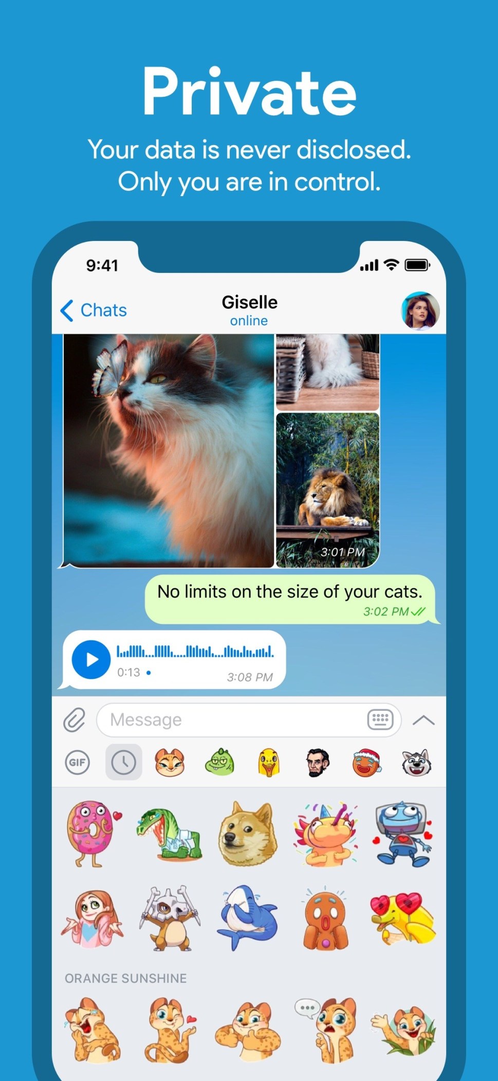 Screenshot do app Telegram Messenger