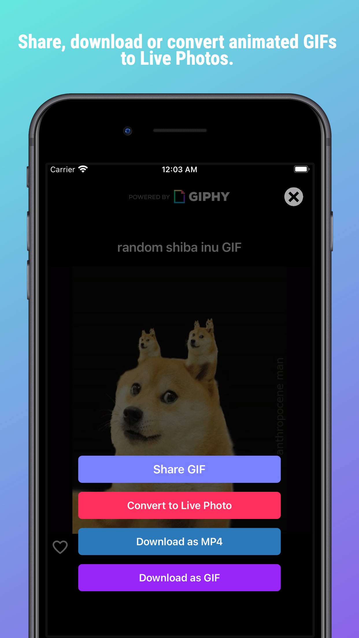 Screenshot do app GifSkip: Search & Share Gif