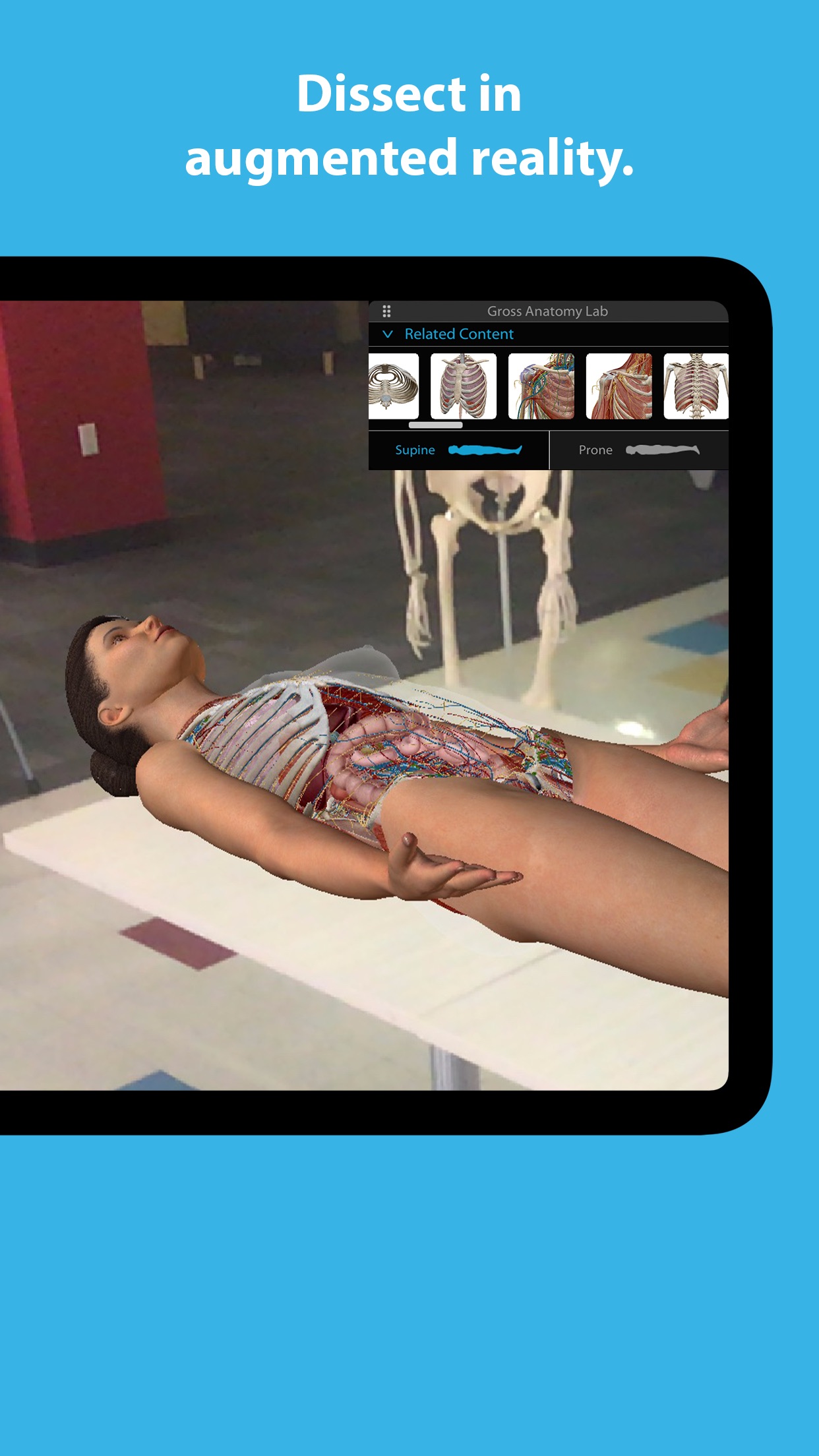 Screenshot do app Human Anatomy Atlas 2023