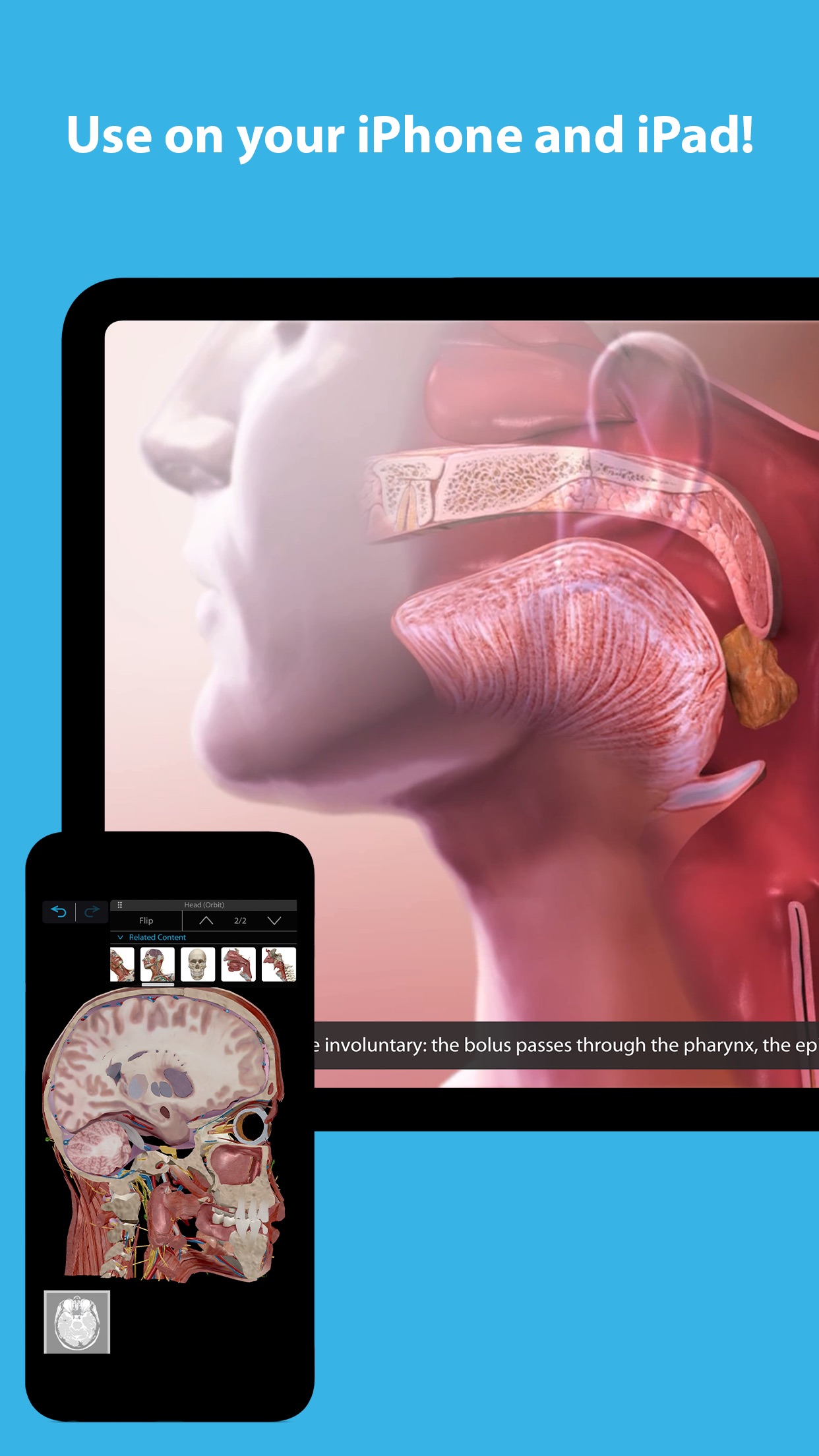 Screenshot do app Human Anatomy Atlas 2023