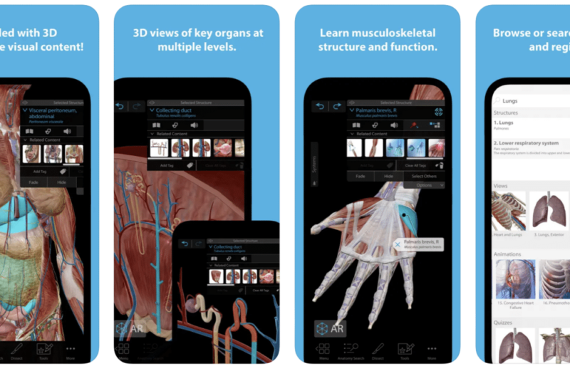 Promoções na App Store: Human Anatomy Atlas 2023, Jumbo Airport Story, Foldery e mais!