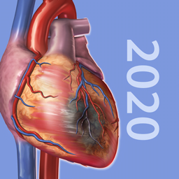 Ícone do app Physiology & Pathology