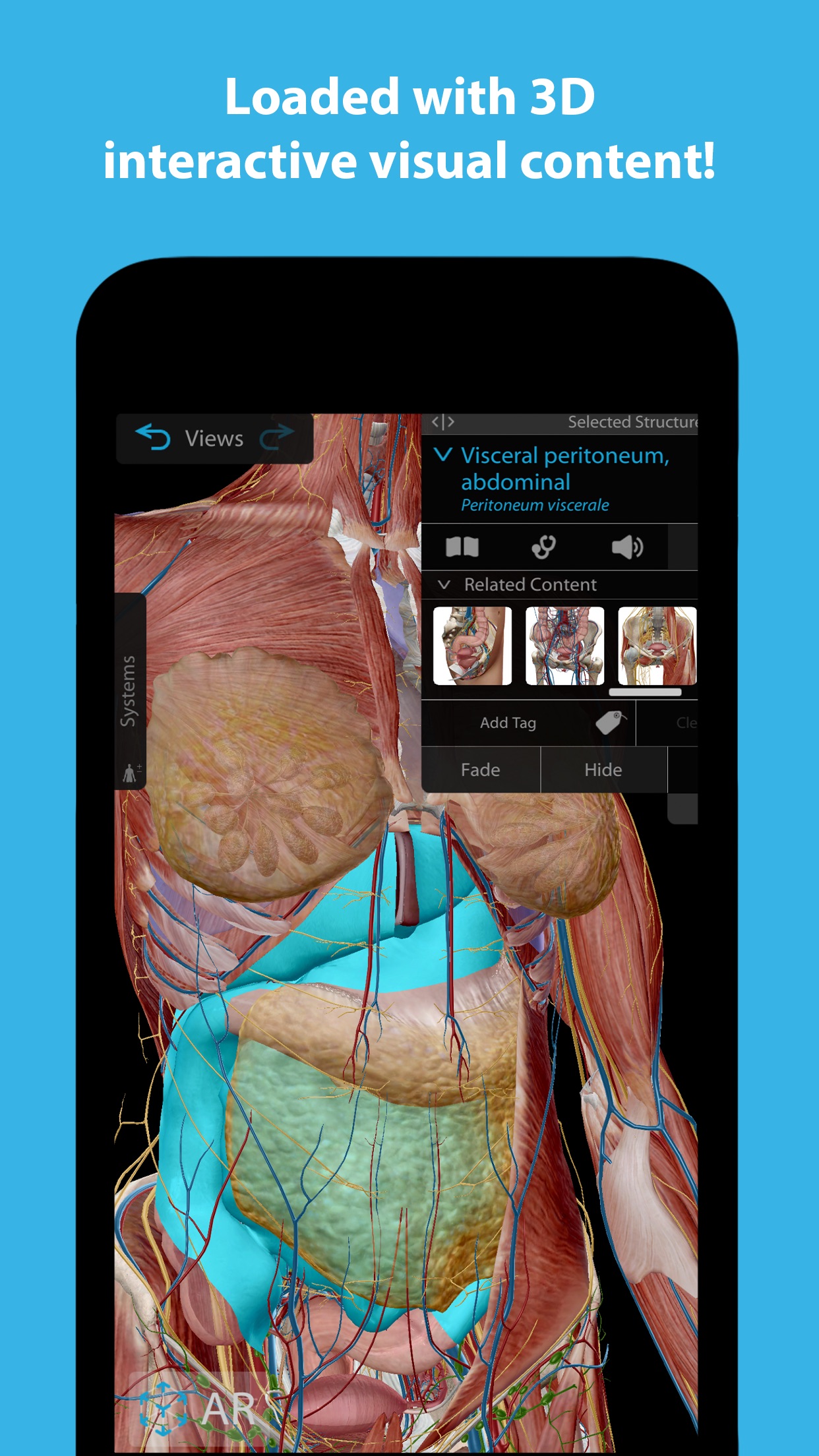 Screenshot do app Human Anatomy Atlas 2023