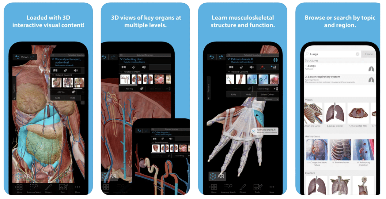 Human Anatomy Atlas 2024