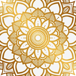 Ícone do app Mandala Maker 360 Pro